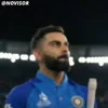 King Virat @TgEmojis_bot sticker preview 4