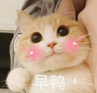 🌞 emoji 老攻茶叶 @chaye101 Telegram sticker 2 of 113