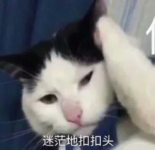 🧐 emoji 老攻茶叶 @chaye101 Telegram sticker 21 of 113