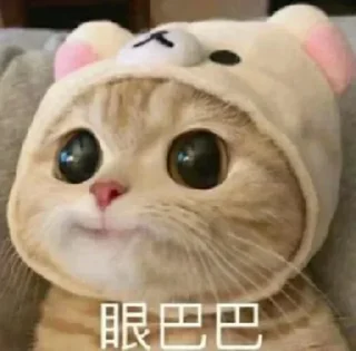 🥳 emoji 老攻茶叶 @chaye101 Telegram sticker 19 of 113