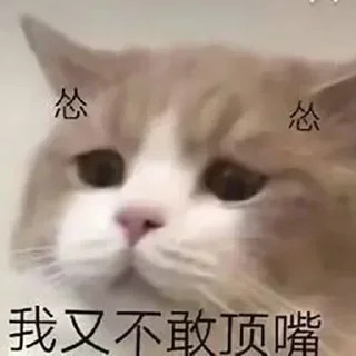 😖 emoji 老攻茶叶 @chaye101 Telegram sticker 4 of 113