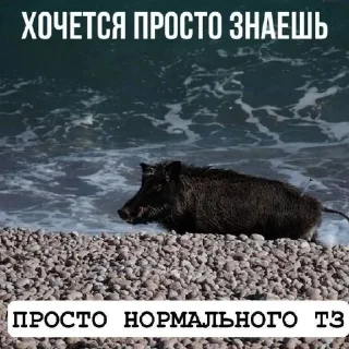🐽 emoji гадости Telegram sticker 19 of 93