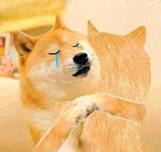 😭 emoji アキs kang pack Telegram sticker 7 of 91