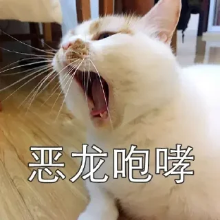 Sticker from mini群专用贴纸