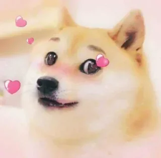 😍 emoji 𝐑𝐀𝐇𝐔𝐋's Sticker Vol.1 Telegram sticker 16 of 40