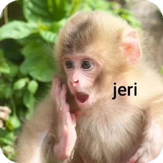 Sticker from suheri