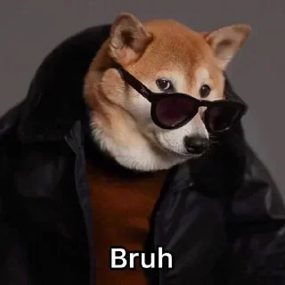 🐶 emoji 卄Y͜͡ ᏢєƦ 🇮🇳s kang pack 1 Telegram sticker 17 of 120