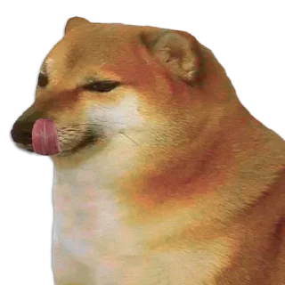 😂 emoji 卄Y͜͡ ᏢєƦ 🇮🇳⁪⁬⁮⁮⁮⁮s kang pack Telegram sticker 18 of 120