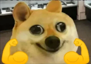 😂 emoji 卄Y͜͡ קƎᖇ 🇮🇳s 𝙺𝙰𝙽𝙶 𝙿𝙰𝙲𝙺 Telegram sticker 2 of 120