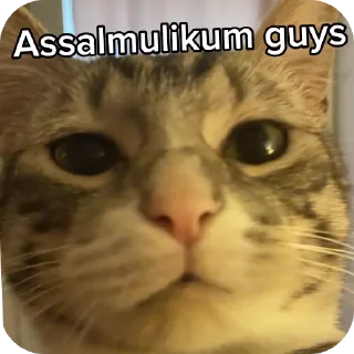 🐱 emoji Saad 𝙹𝚊𝚗𝚝𝚊 𝙿𝚊𝚛𝚝𝚢 pack by @QuotLyBot Telegram sticker 11 of 120