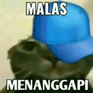 Sticker from carai’s feeling @buwns