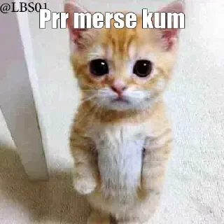 😂 emoji $"""fizzu 🥀 — @stckrRobot Telegram sticker 9 of 120