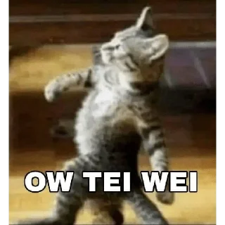 Sticker from Meme Binatang