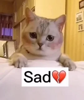 😞 emoji Rishabhs kang pack Telegram sticker 23 of 27