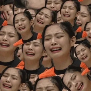 Sticker from FUNNY PINKS @Blackpinkblinkclub — @stckrRobot