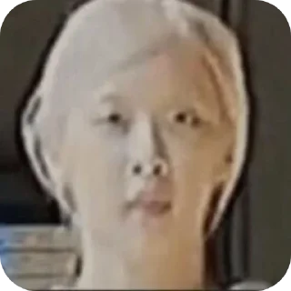 🤲 emoji kpopmeme girl-kalilakaciww Telegram sticker 23 of 28