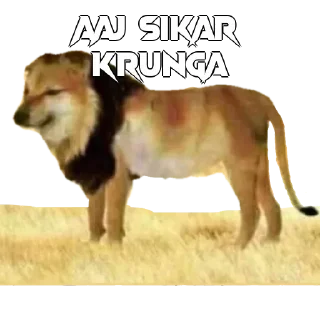 🃏 emoji KAPTAAN 🦅s kang pack Telegram sticker 11 of 51