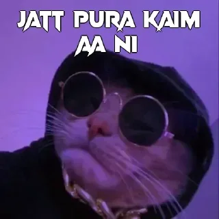 🃏 emoji KAPTAAN 🦅s kang pack Telegram sticker 23 of 51