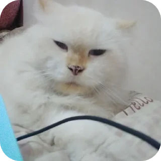 vanny sticker 1