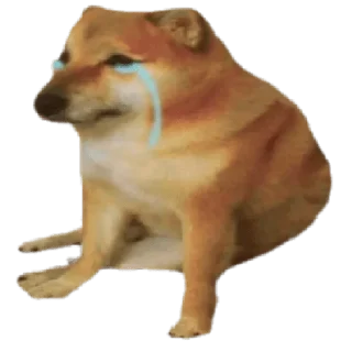 😭 emoji Domge Telegram sticker 24 of 78