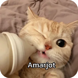 🐱 emoji चाय मट्ठी Telegram sticker 7 of 20