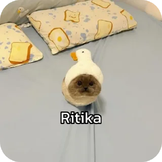 📦 emoji चाय मट्ठी Telegram sticker 15 of 20