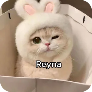 🐱 emoji चाय मट्ठी Telegram sticker 9 of 20