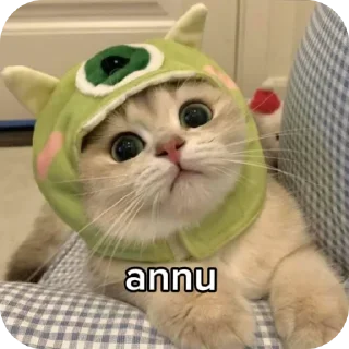 🐱 emoji चाय मट्ठी Telegram sticker 20 of 20