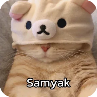 🧸 emoji चाय मट्ठी Telegram sticker 16 of 20