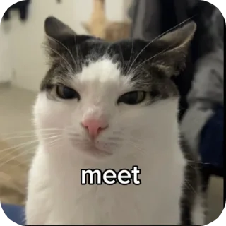 🐱 emoji चाय मट्ठी Telegram sticker 19 of 20