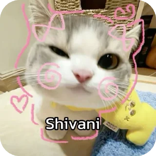 🐱 emoji चाय मट्ठी Telegram sticker 14 of 20