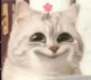 🥹 emoji Pack for real niggas Telegram sticker 9 of 33