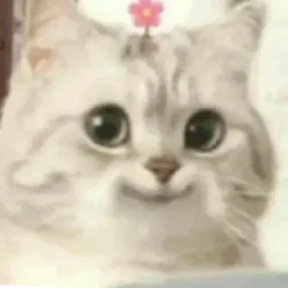 😃 emoji Pack for real niggas Telegram sticker 8 of 33