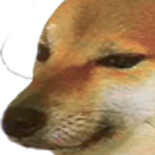 😐 emoji @Harami_Boi's kang pack vol.1 Telegram sticker 16 of 37