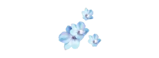 💙 emoji ხ𝛊𝐮𝖾🩵˚ ༘  @stickers_gifs_store Telegram sticker 23 of 105
