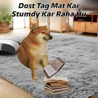 Sticker from अहम् ब्रह्म अस्मिs kang pack 3