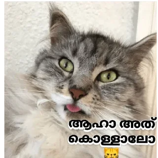 😂 emoji @vincent_2255 Telegram sticker 5 of 120