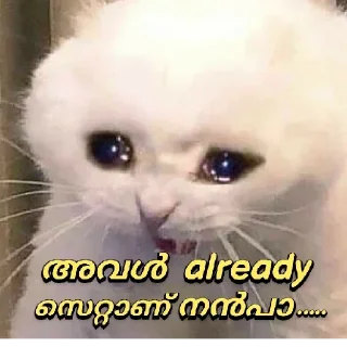 🥺 emoji @vincent_2255 Telegram sticker 8 of 120