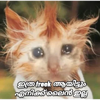 😢 emoji @vincent_2255 Telegram sticker 14 of 120