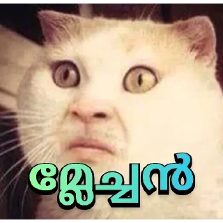 😂 emoji @vincent_2255 Telegram sticker 21 of 120