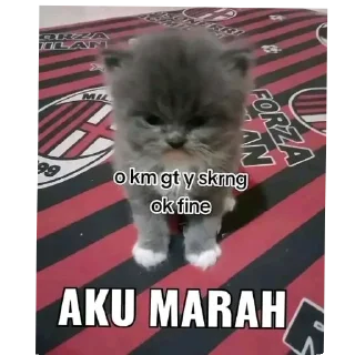 Sticker from laut