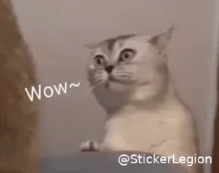 😾 emoji Iɴᴅʀᴀᴊɪᴛʜ • 🇮🇳 •'s Kang Sticker Pack Telegram sticker 13 of 50