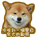 Sticker from 柴犬專用
