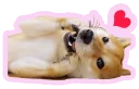 Sticker from 柴犬專用
