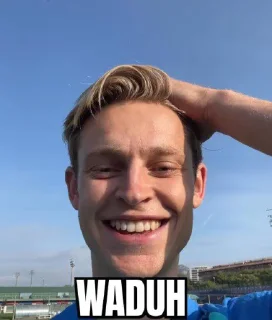 😅 emoji waduh Telegram sticker 9 of 18