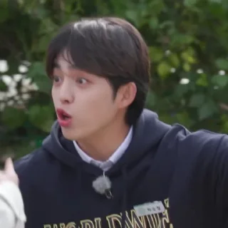 💎 emoji @STIKERSVT : S.COUPS GOSE SPECIAL I Know & Don't Know #1 Telegram sticker 14 of 15