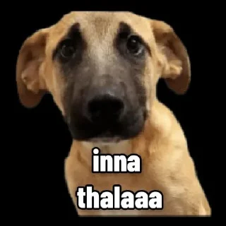 Sticker from Cheems