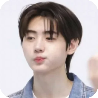 Sticker from sunghoon!