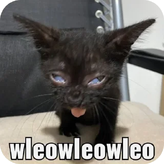 🐱 emoji jendral said Telegram sticker 10 of 96