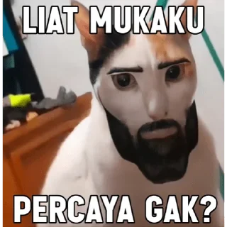 Sticker from random meme